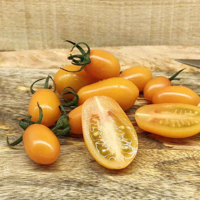 Solanum Seeds (Tree Tomato, ) Perennial Herbaceous Shrub, Self Pollinating, Outdoor Patio Fruit And Berries