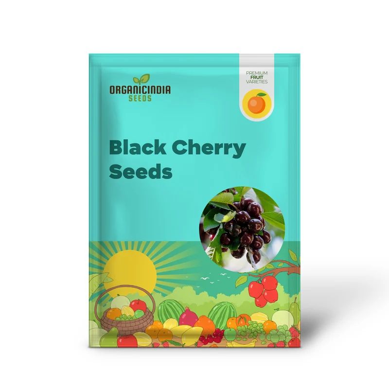 Black Cherry Seeds - Medium to Large Deciduous Tree with Fragrant White Flowers, Sweet Juicy Fruit, Ideal for Jams & Culinary Uses - 30Pcs