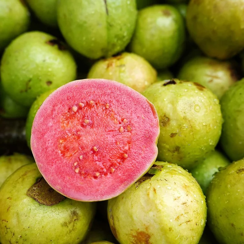 Guava Seeds - Red Psidium Guajava, Sweet Fragrant Tropical Fruit Seeds, Perennial – 50 Pcs