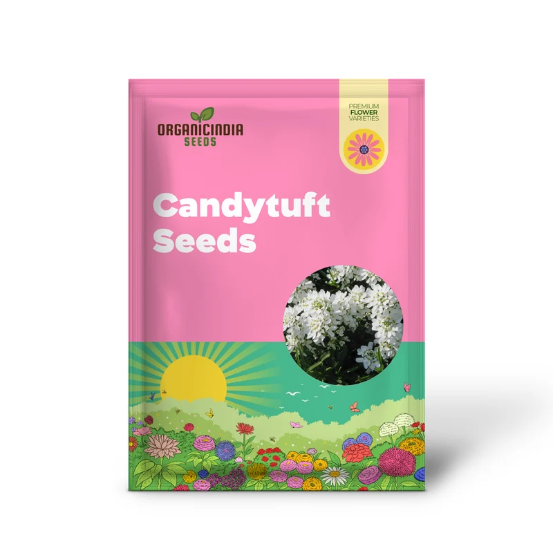 Candytuft Seeds Perennial - Attracts Pollinators, Deer & Rabbit Resistant, Drought Tolerant, Evergreen Ground Cover for Edging, Patio & Outdoor Containers