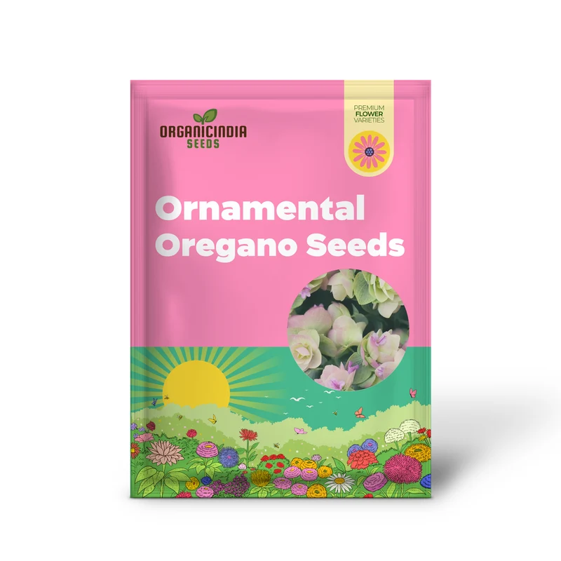 Ornamental Oregano Seeds for Gardens & Landscapes, Low-Maintenance Ground Cover & Pollinator Attractant – 50Pcs