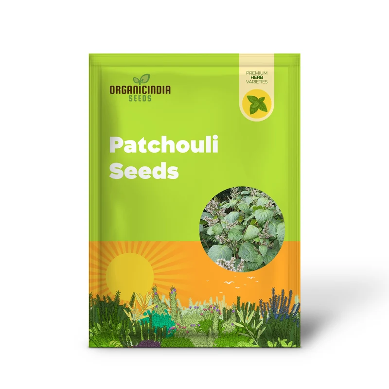 Patchouli Seeds - Aromatic Herb for Gardens & Containers