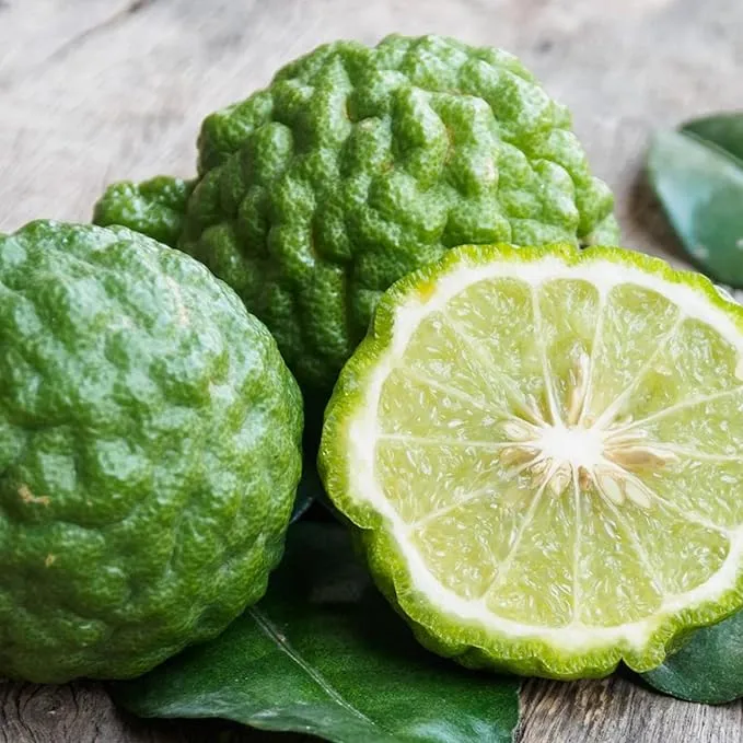 Bergamot Orange Seeds - Citrus Bergamia, Perennial Evergreen Edible And Ornamental Bonsai Outdoor Patio Fruit Tree Seeds