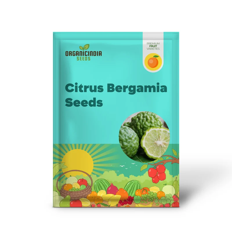 Bergamot Orange Seeds - Citrus Bergamia, Perennial Evergreen Edible And Ornamental Bonsai Outdoor Patio Fruit Tree Seeds