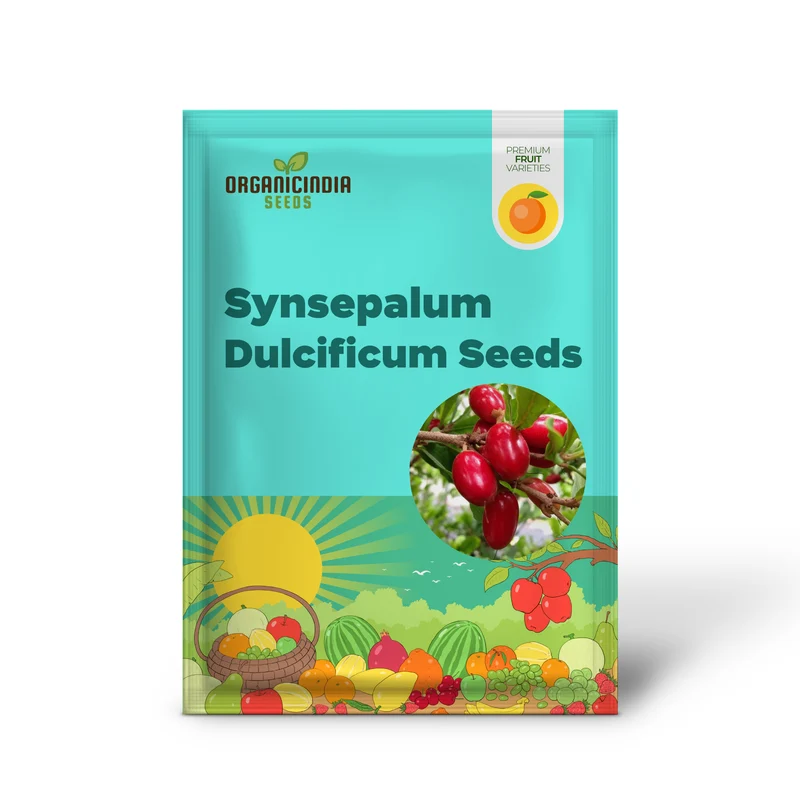 Synsepalum Dulcificum Seeds Miracle Berry, Miracle Fruit Red Berries for Outdoor Growing