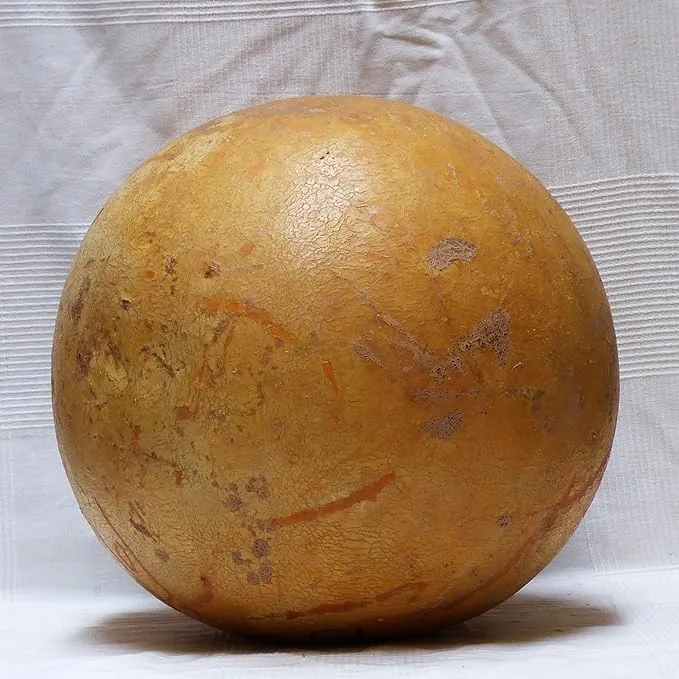 Cannonball Gourd Seeds Decorative And Edible Outdoor Trellis
