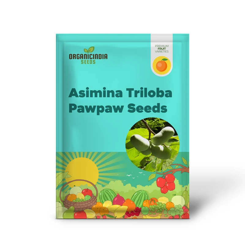 Asimina Triloba Pawpaw Seeds | Low Maintenance Edible Fruit Tree | Fragrant, Showy, Wet Soil Tolerant