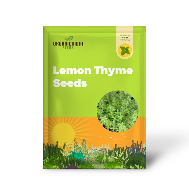 Lemon Thyme Seeds (Thymus Citriodorus) Fragrant, Evergreen, Deer and Rabbit Resistant, Drought Tolerant, Culinary and Ornamental Ground Cover for Patio, Container, Indoor Outdoor
