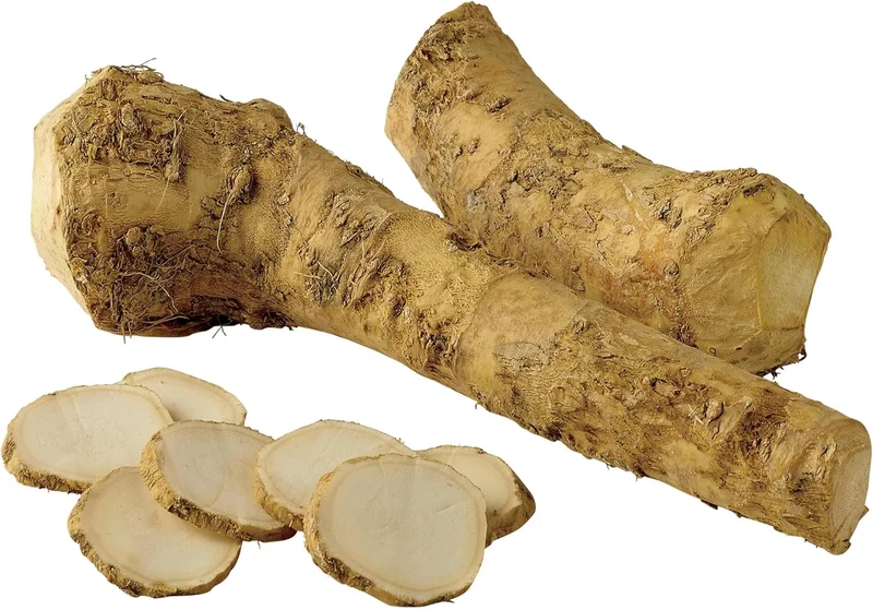 200 Pcs Horseradish Seeds | Armoracia Rusticana | Red Cloe Pepper Root Perennial Vegetable Seeds | GMO-Free | Ideal for Garden Containers & Outdoor Planting