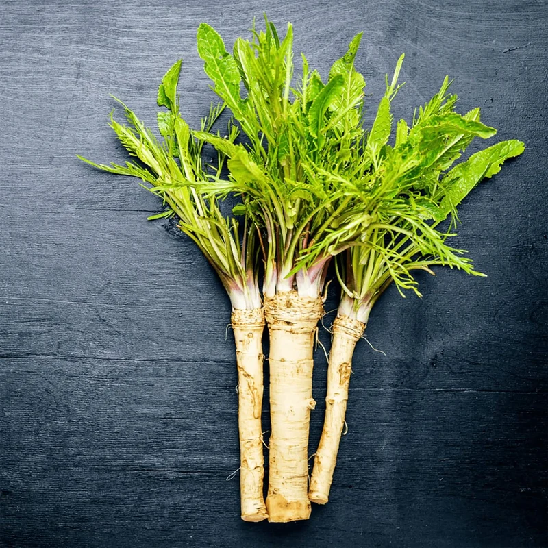 200 Pcs Horseradish Seeds | Armoracia Rusticana | Red Cloe Pepper Root Perennial Vegetable Seeds | GMO-Free | Ideal for Garden Containers & Outdoor Planting