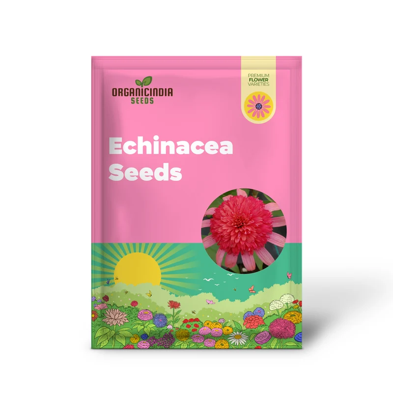 Echinacea Seeds (Secret Passion Echinacea Seeds) - Fragrant Perennial Blooms for Gardens