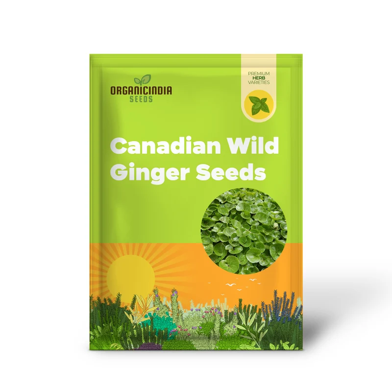 Canadian Wild Ginger Seeds (Asarum Canadense) – Low-Growing Perennial Ground Cover with Attractive Foliage for Shade Gardens