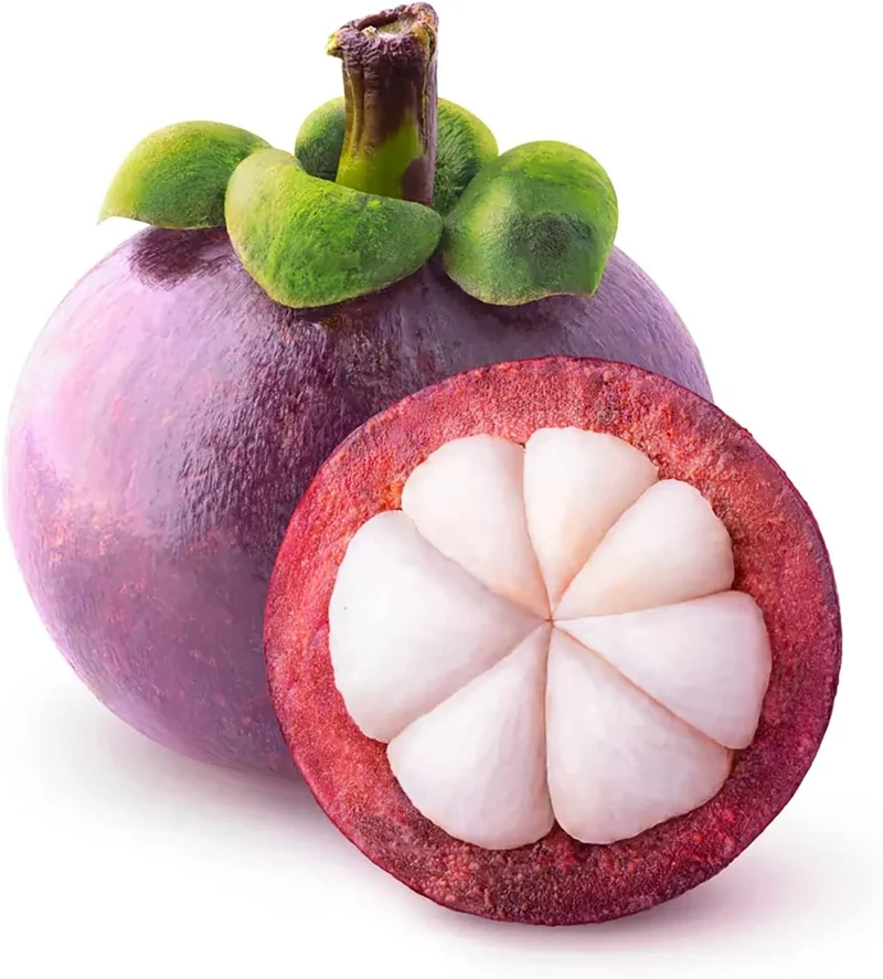 Mangosteen Seeds - Sweet Evergreen Tropical Fruit, GMO-Free for Garden