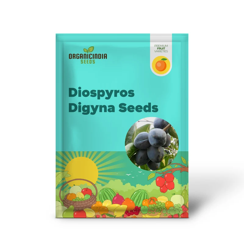 Diospyros Digyna Seeds - Black Sapote, Rich Dark Brown Flesh, Culinary Uses