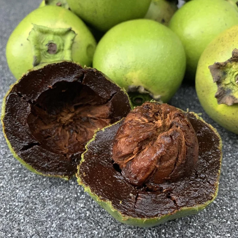 Diospyros Digyna Seeds - Black Sapote, Rich Dark Brown Flesh, Culinary Uses