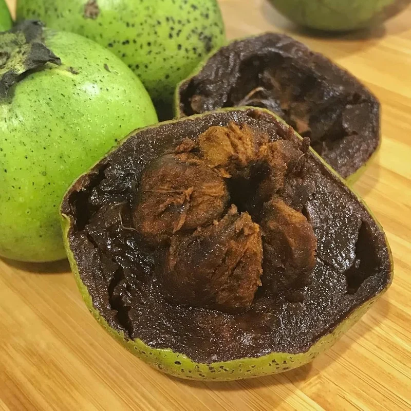 Diospyros Digyna Seeds - Black Sapote, Rich Dark Brown Flesh, Culinary Uses