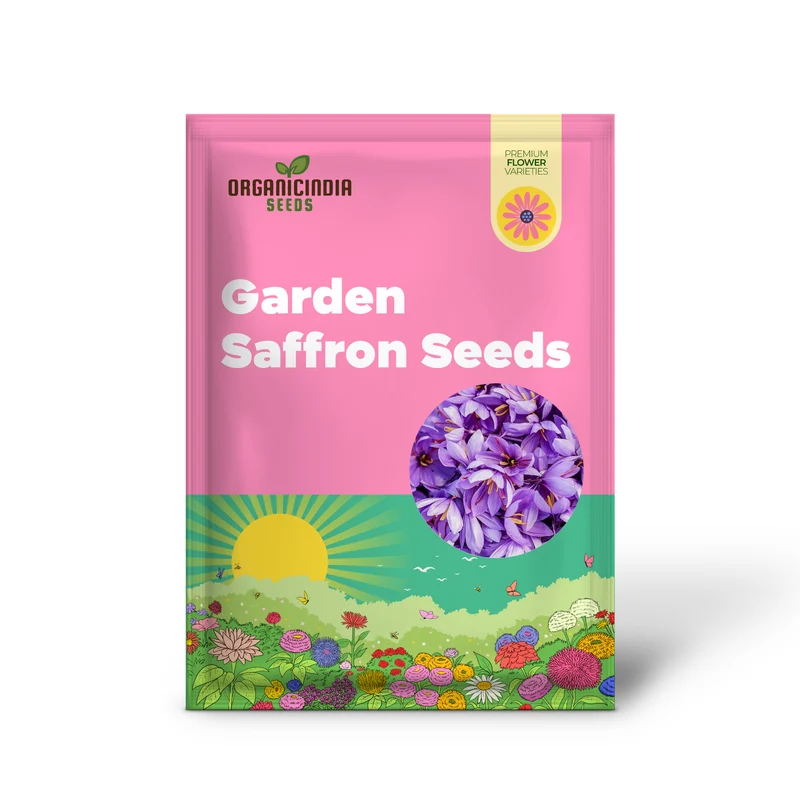 Garden Saffron Bulbs, Perennial, Non GMO, Drought Tolerant, Ideal for Container Gardens