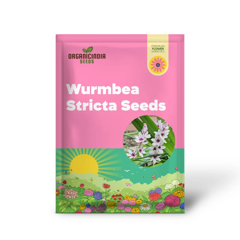 Wurmbea Stricta Seeds – Rare Garden Variety for Planting