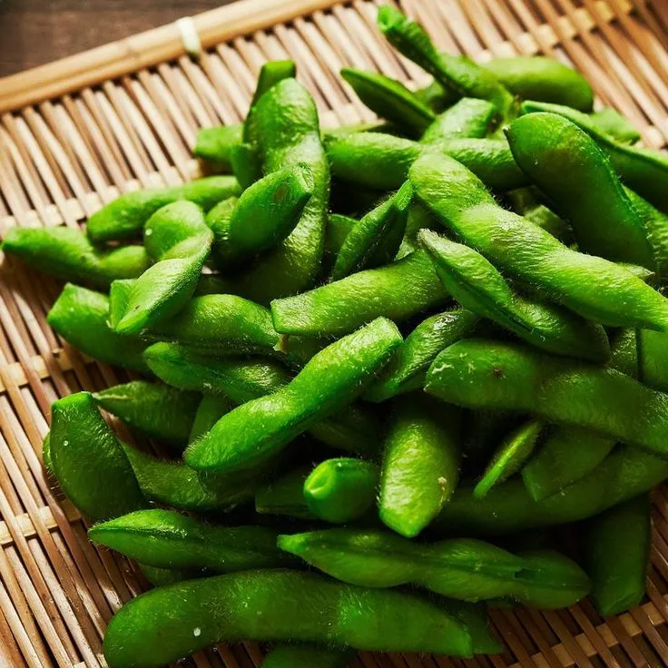 Midori Giant Edamame Soybean Seeds for Planting