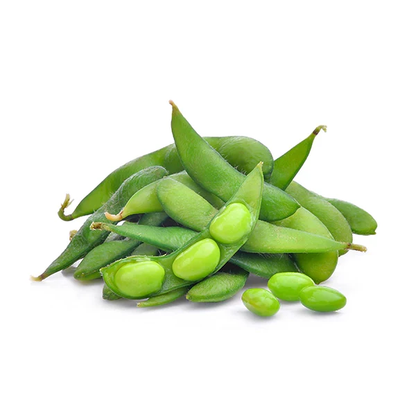 Midori Giant Edamame Soybean Seeds for Planting