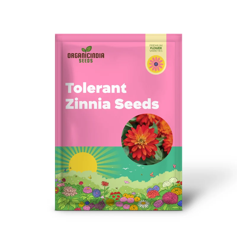 Rare Variety Zinnia Seeds – Heat Tolerant Garden Blooms for Planting