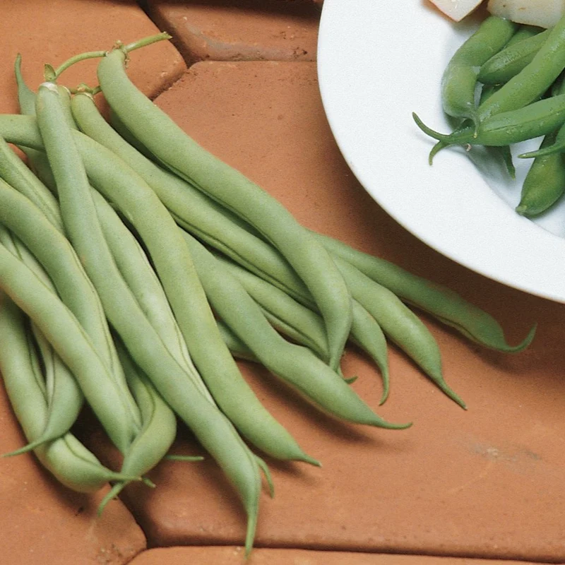 White Half Runner Green Bean Seeds, Planting