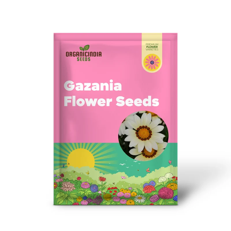 Gazania Daybreak Series White Flower Seeds, Planting