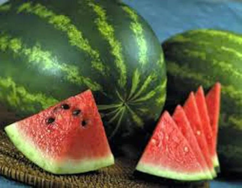 Jubilaaum Watermelon Seeds for Planting