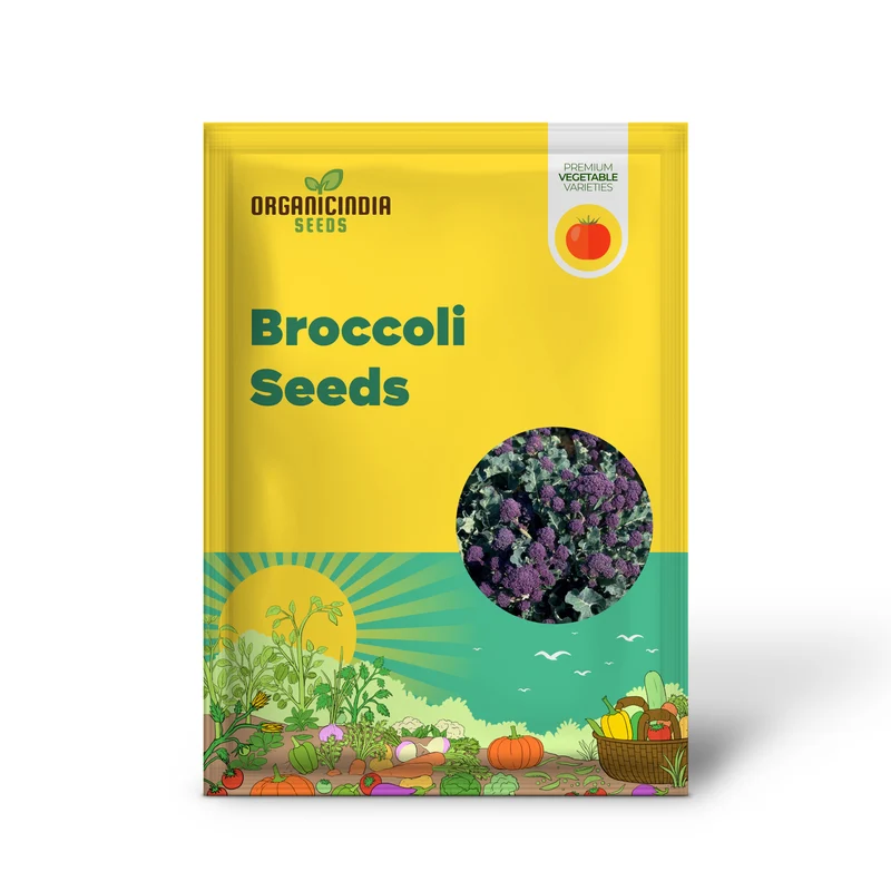 Purple Broccoli Seeds for Planting for Bountiful Garden