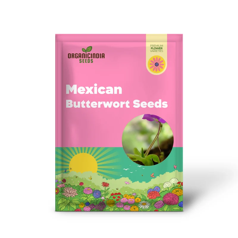 Mexican Butterwort Seeds, Planting