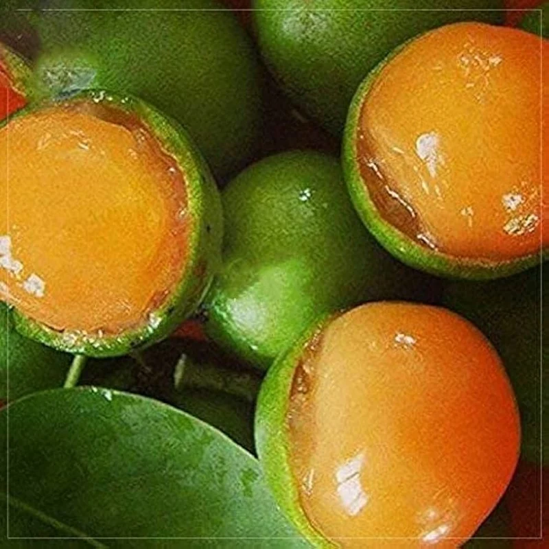 Lemon Sweet Spanish Lime Seeds, Planting