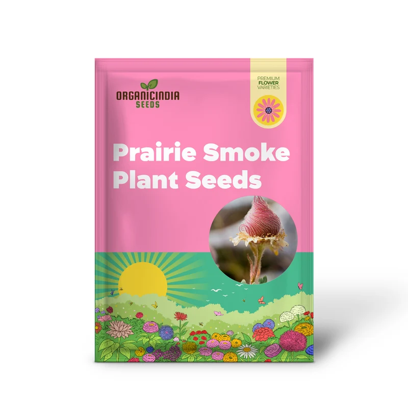 Prairie Smoke Wild Flower Seeds for Planting