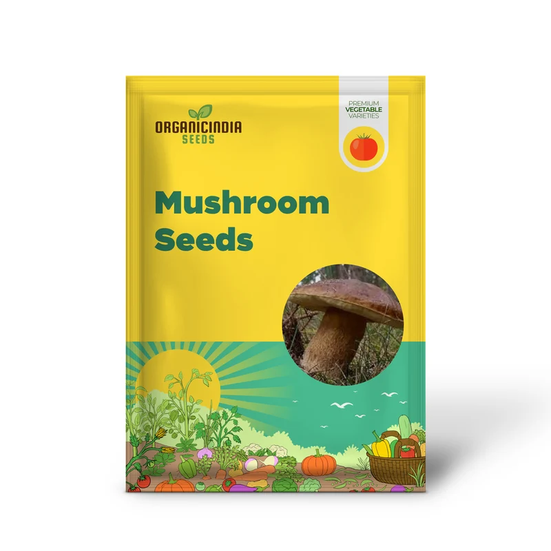 Porcini Mushroom King Seeds for Planting