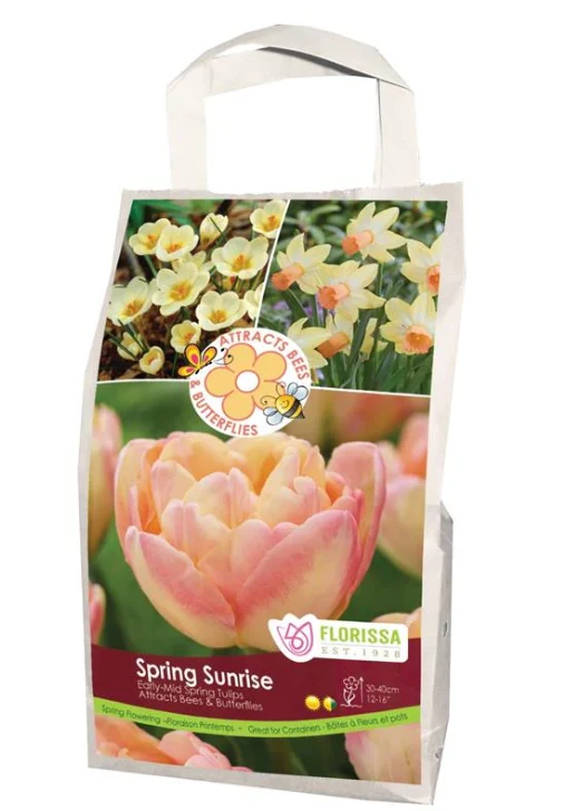 Mélange Feed the Pollinators ‘Spring Sunrise’ ( Tulipa , Narcissus et Crocus )