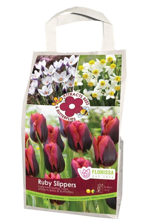 Mélange Feed the Pollinators ‘Ruby Slippers’ ( Tulipa , Narcissus et Crocus )
