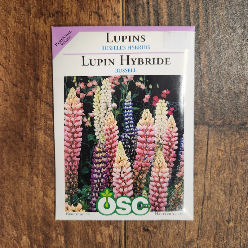 Lupin Hybride 'Mélange de Russell'