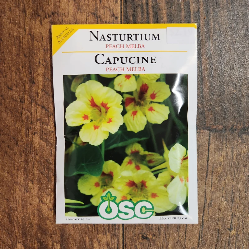 Capucine 'Pêche Melba'