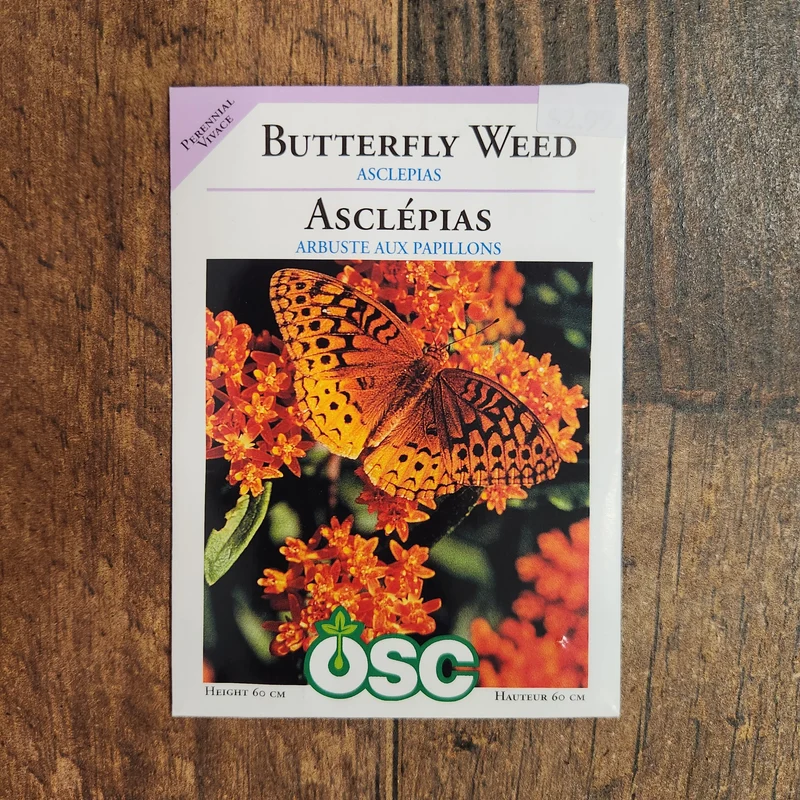 Asclépiade 'Butterfly Weed'