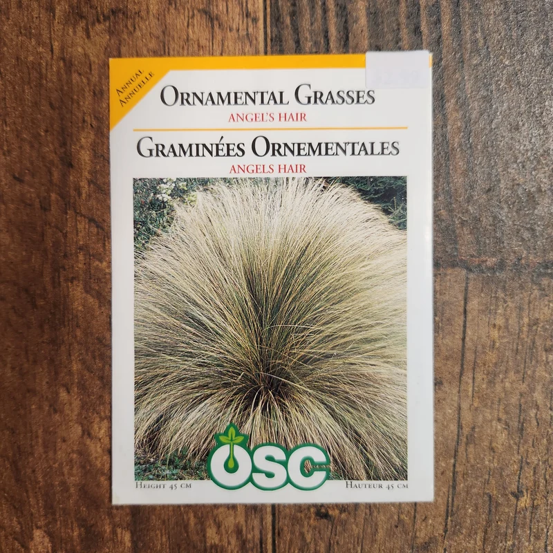 Herbe ornementale 'Angels Hair'
