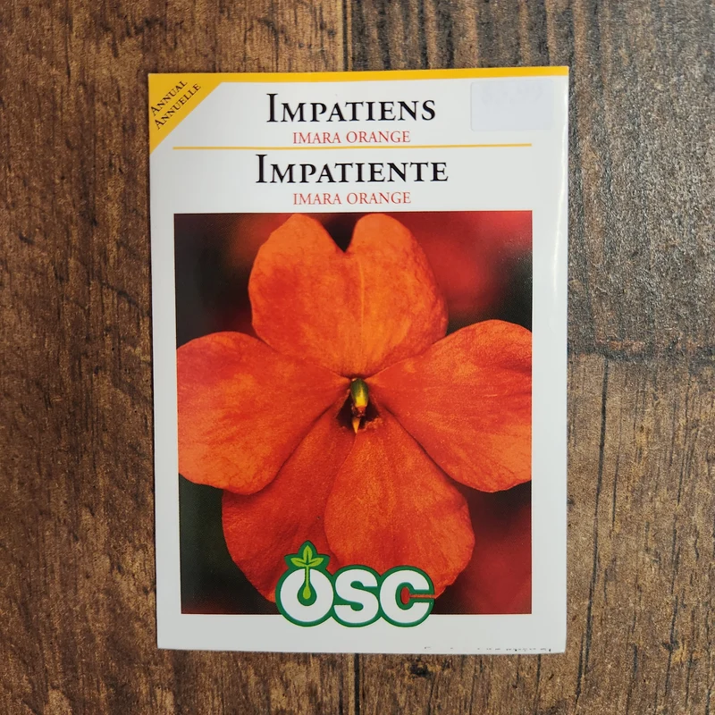 Impatiente 'Imara XDR Orange'