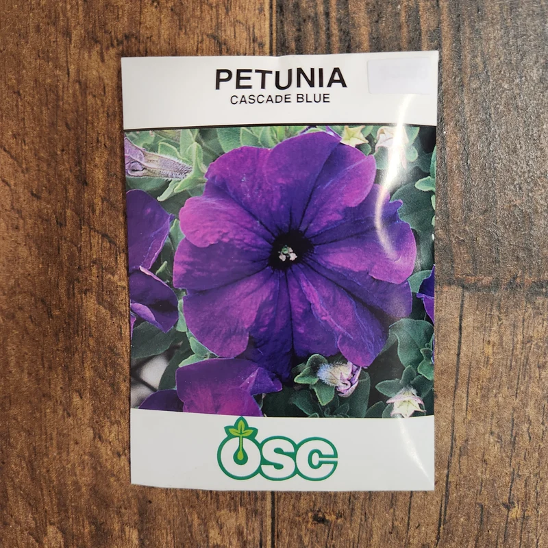 Pétunia cascade 'Blue'