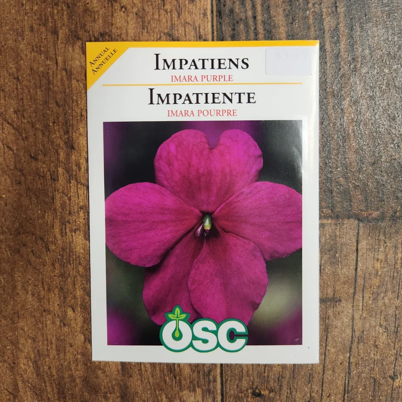 Impatiente 'Imara XDR Pourpre'