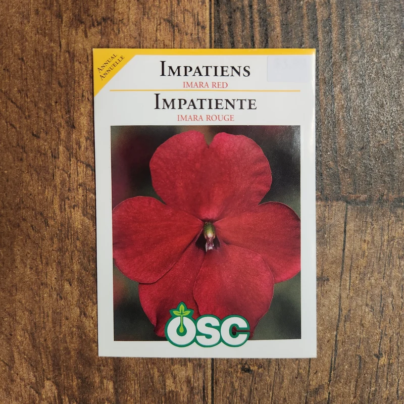 Impatiente 'Imara XDR Rouge'