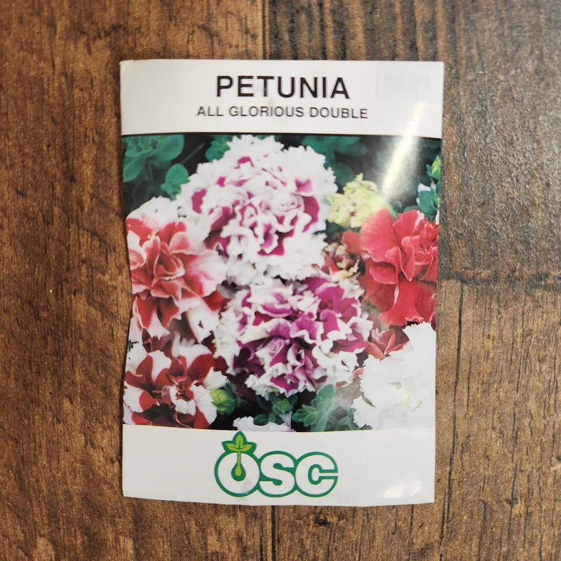 Pétunia hybrides mixtes doubles 'Glorieuses'