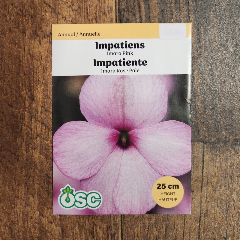 Impatiente 'Imara XDR Rose'