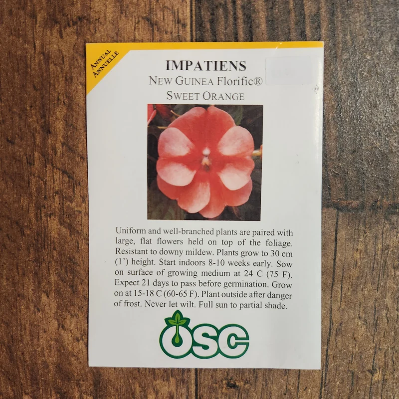 Impatiente 'Florific Orange Douce'