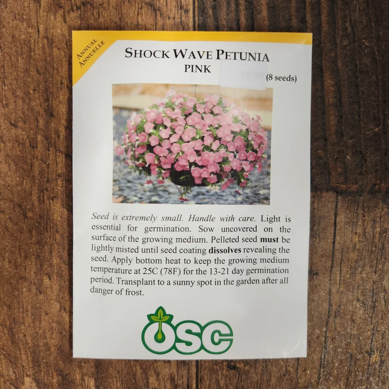 Pétunia Shock Wave 'Pink'