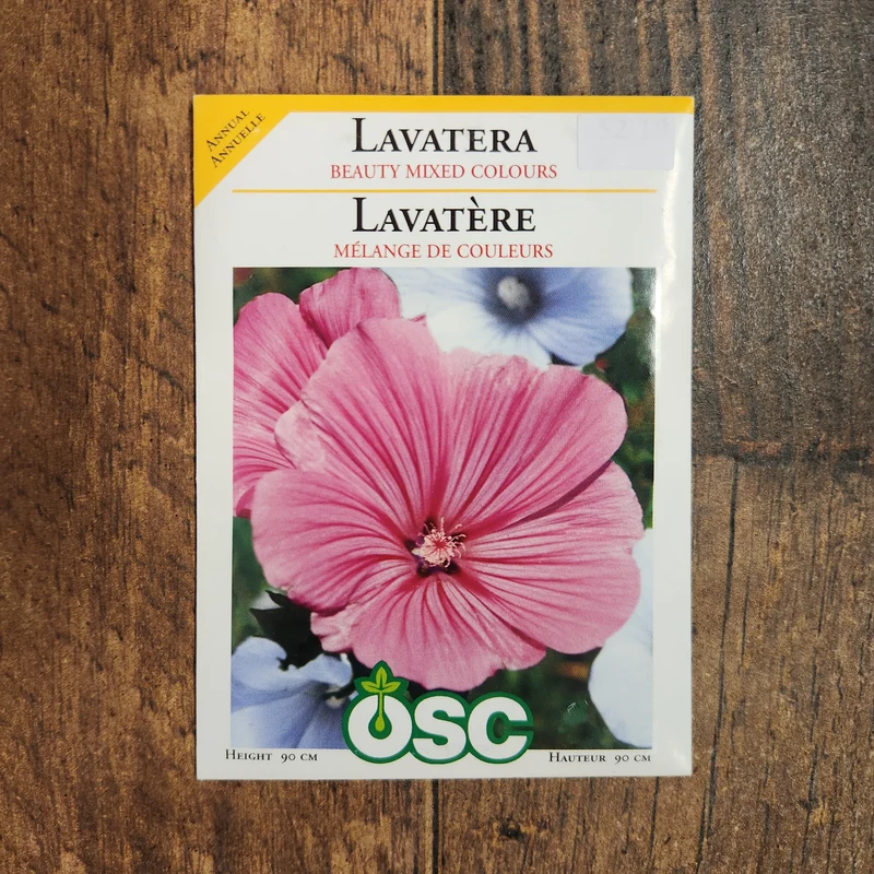 Lavatère 'Couleurs Mixtes'