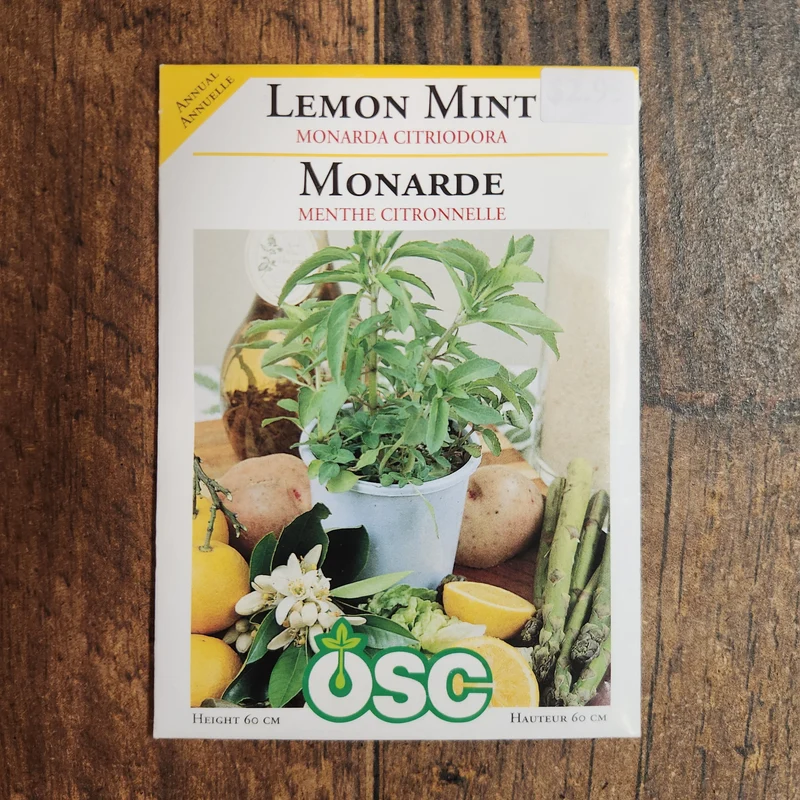 Monarde citronnée