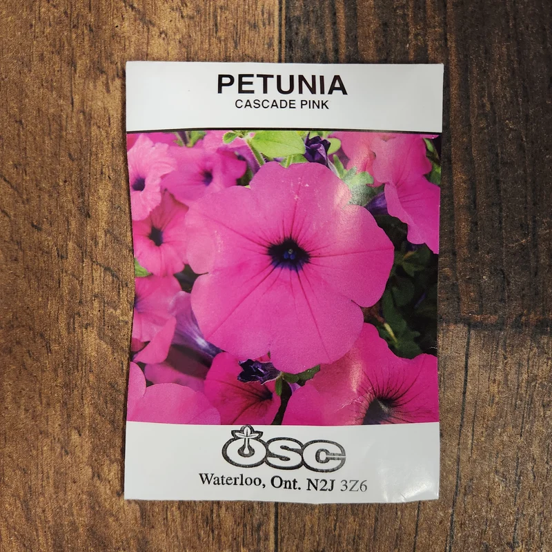 Pétunia cascade 'Pink'
